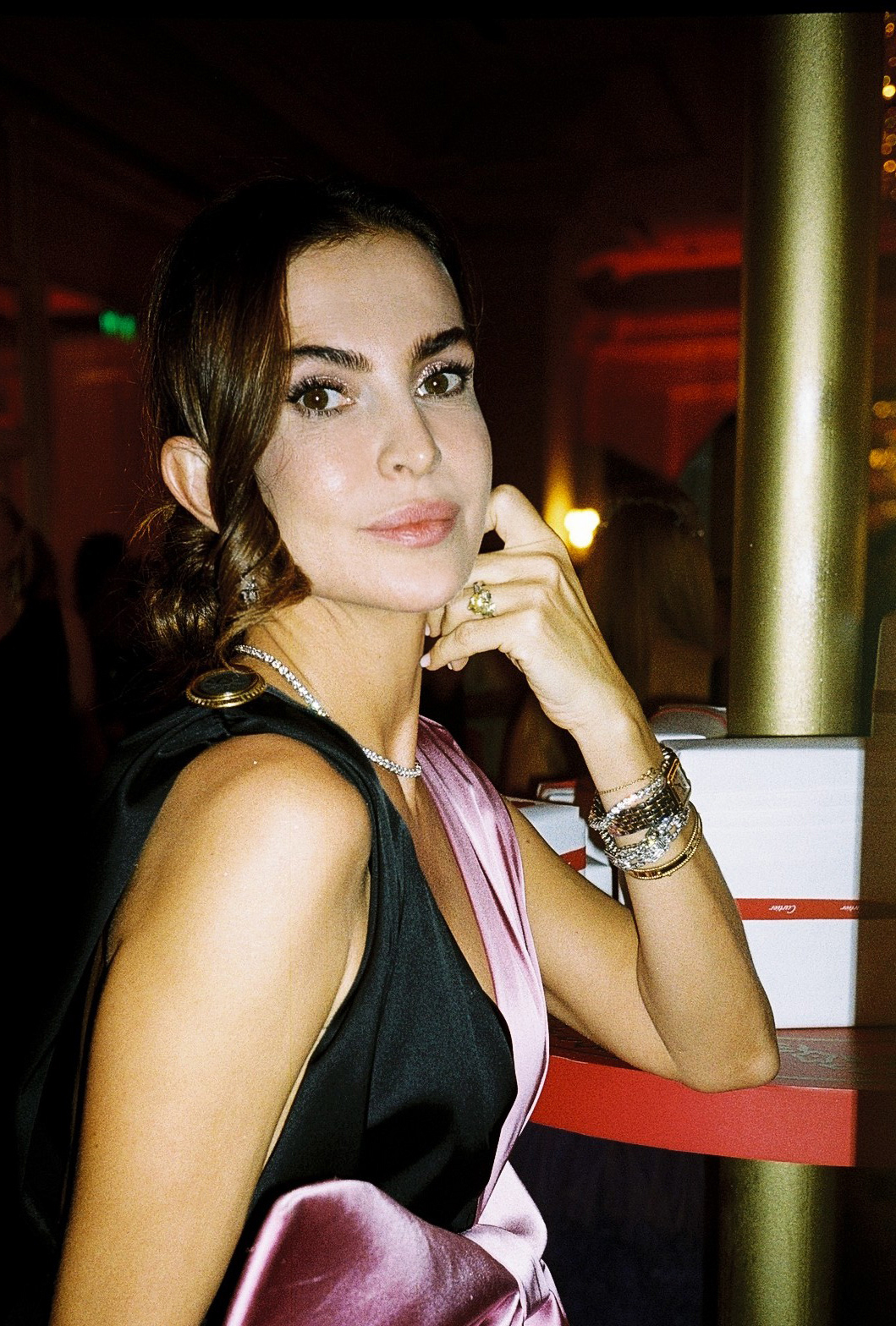 Диана Ставницер