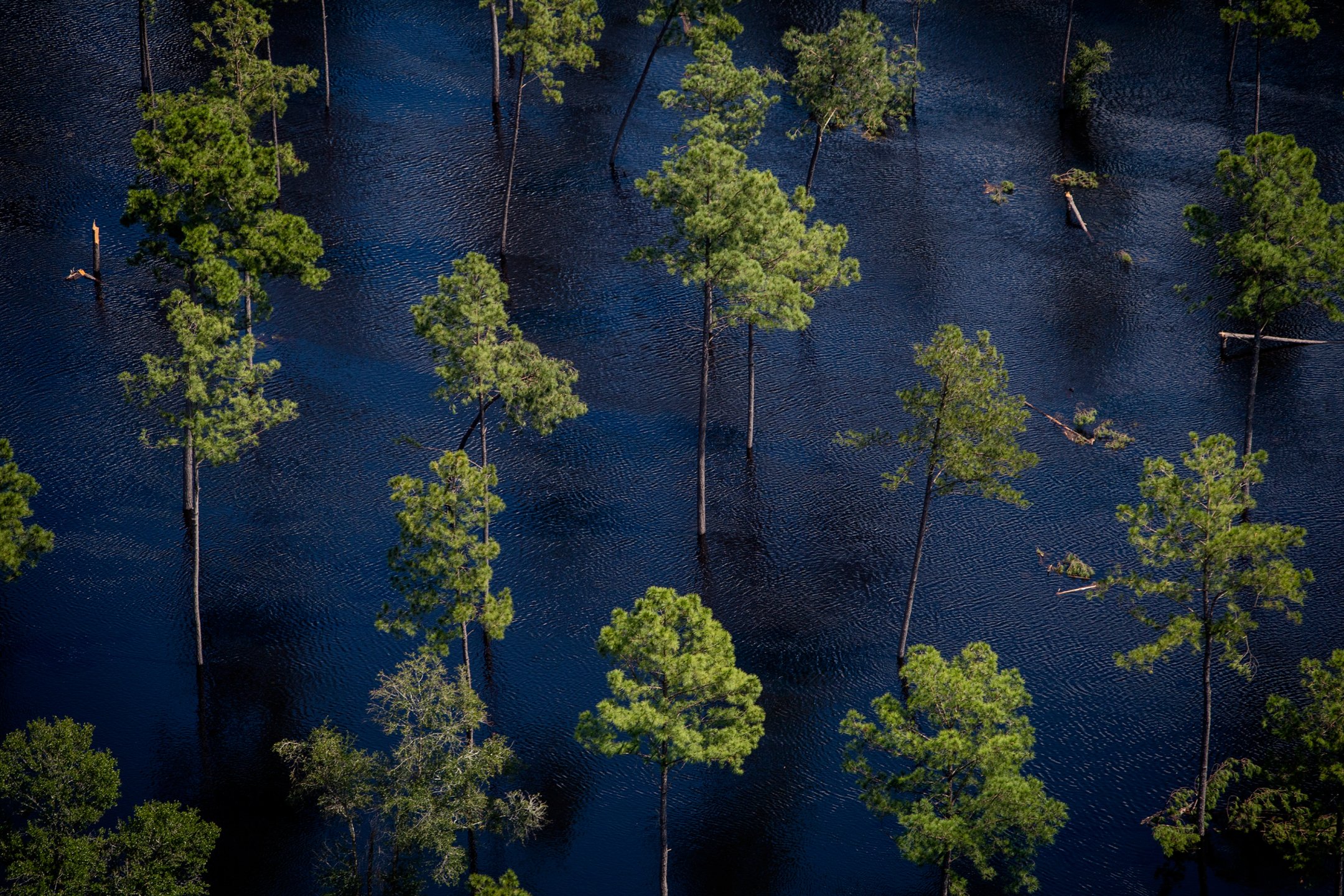 Хилари Свифт