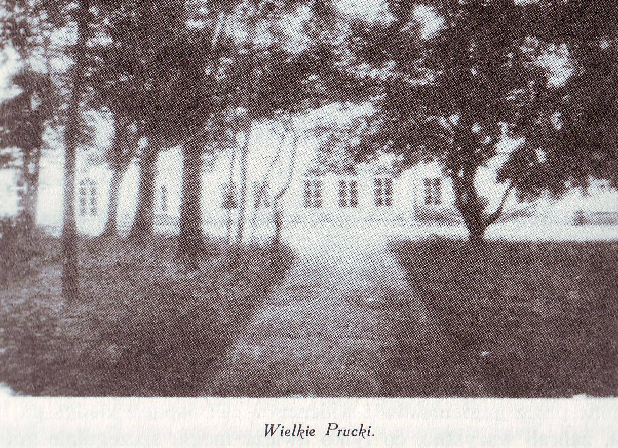 Панская усадьба в Больших Прицках, конец XIX века