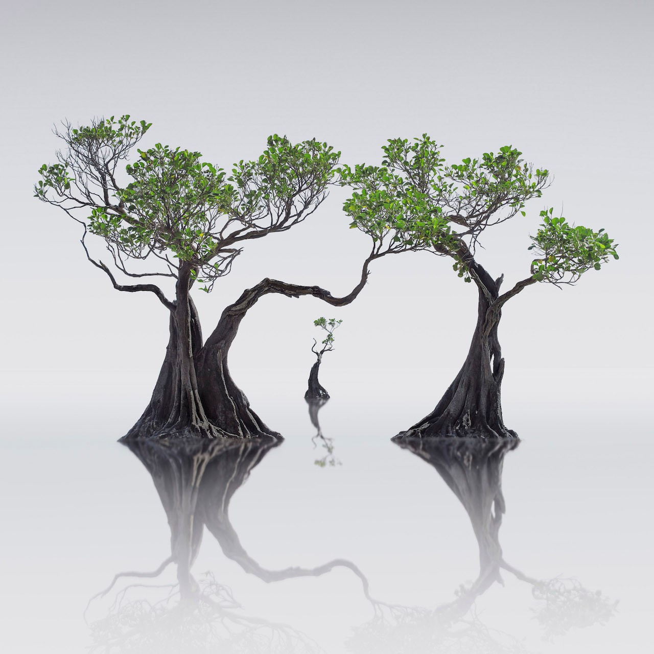 Вонг Чун Кет