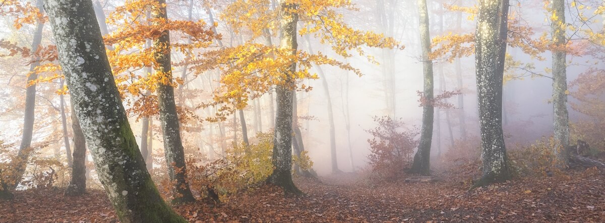 Снимок Оливера Вели