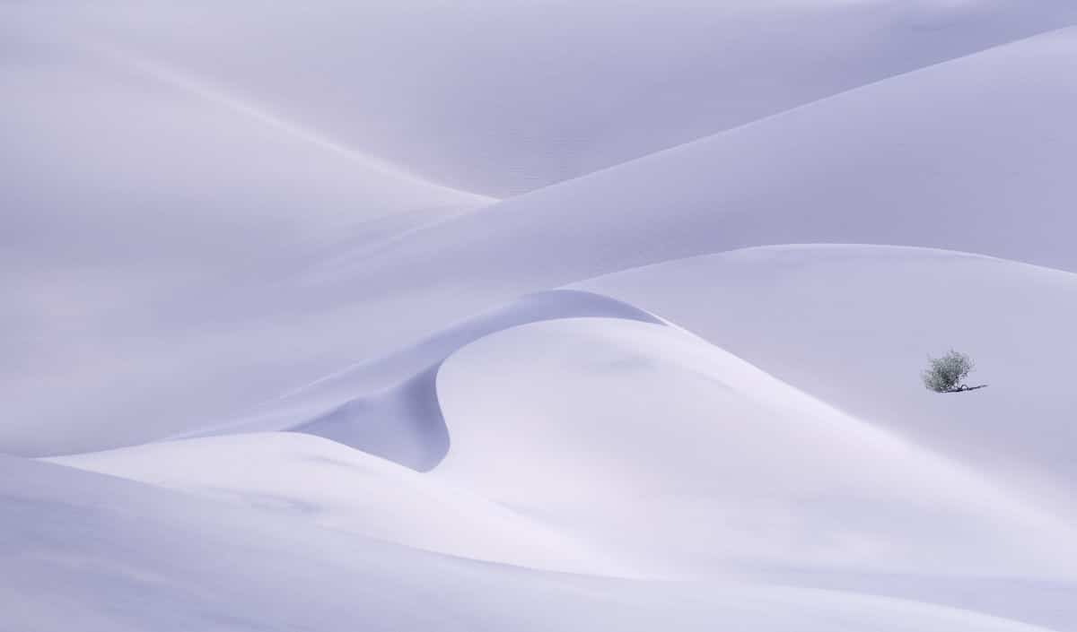 Снимок Грега Боратина