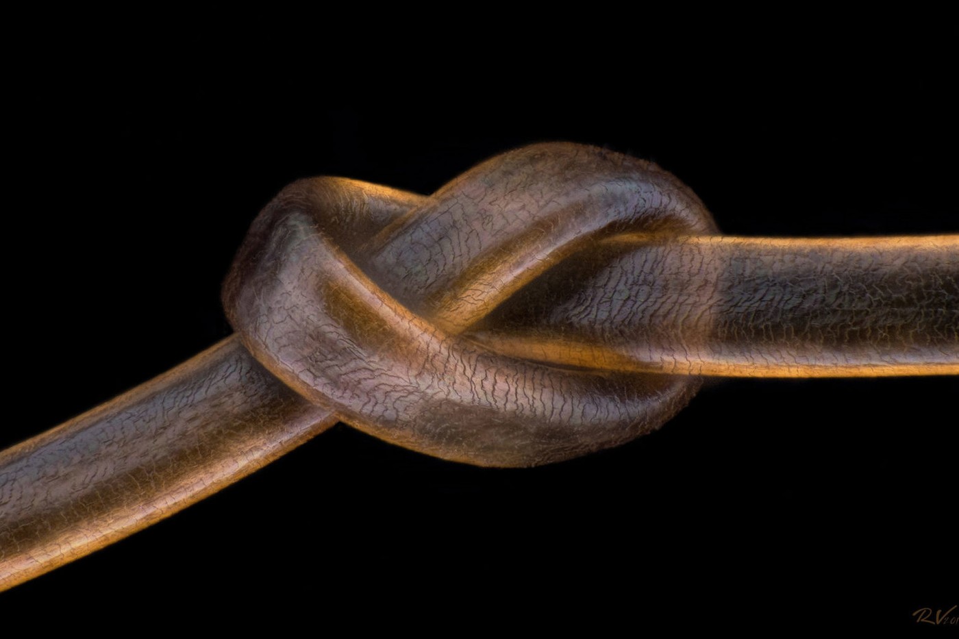 Человеческий волос