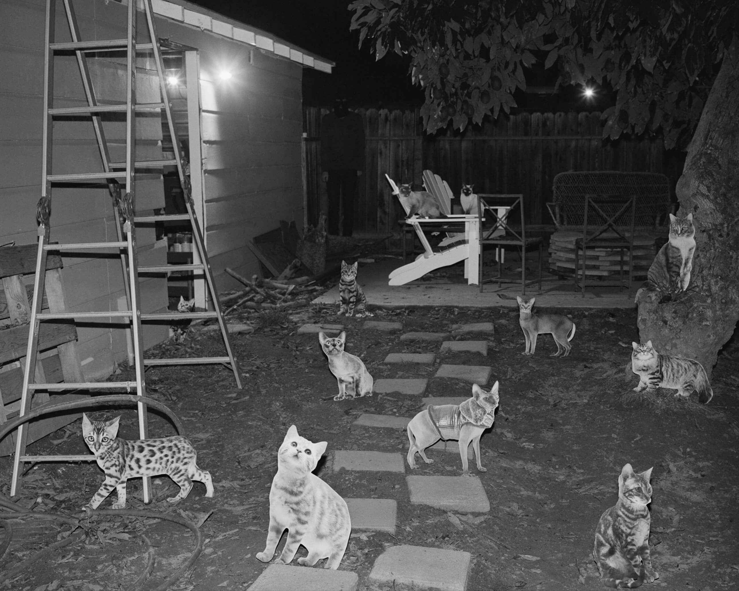 Сэт Джонсон 