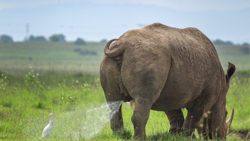 Тилакраж Нагараж: 