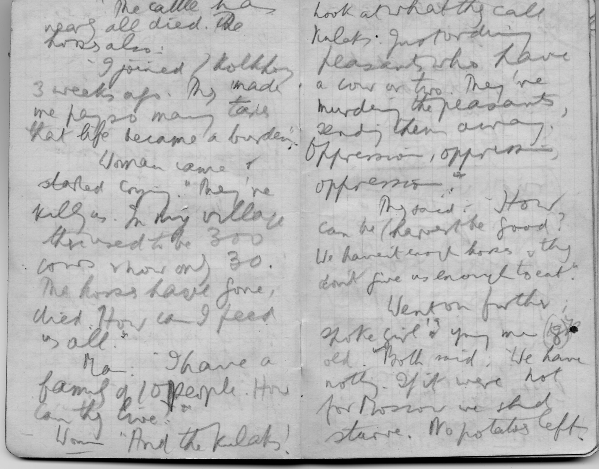 Отрывок из дневника Гарета Джонса о советском голоде (21 марта 1933 года)
