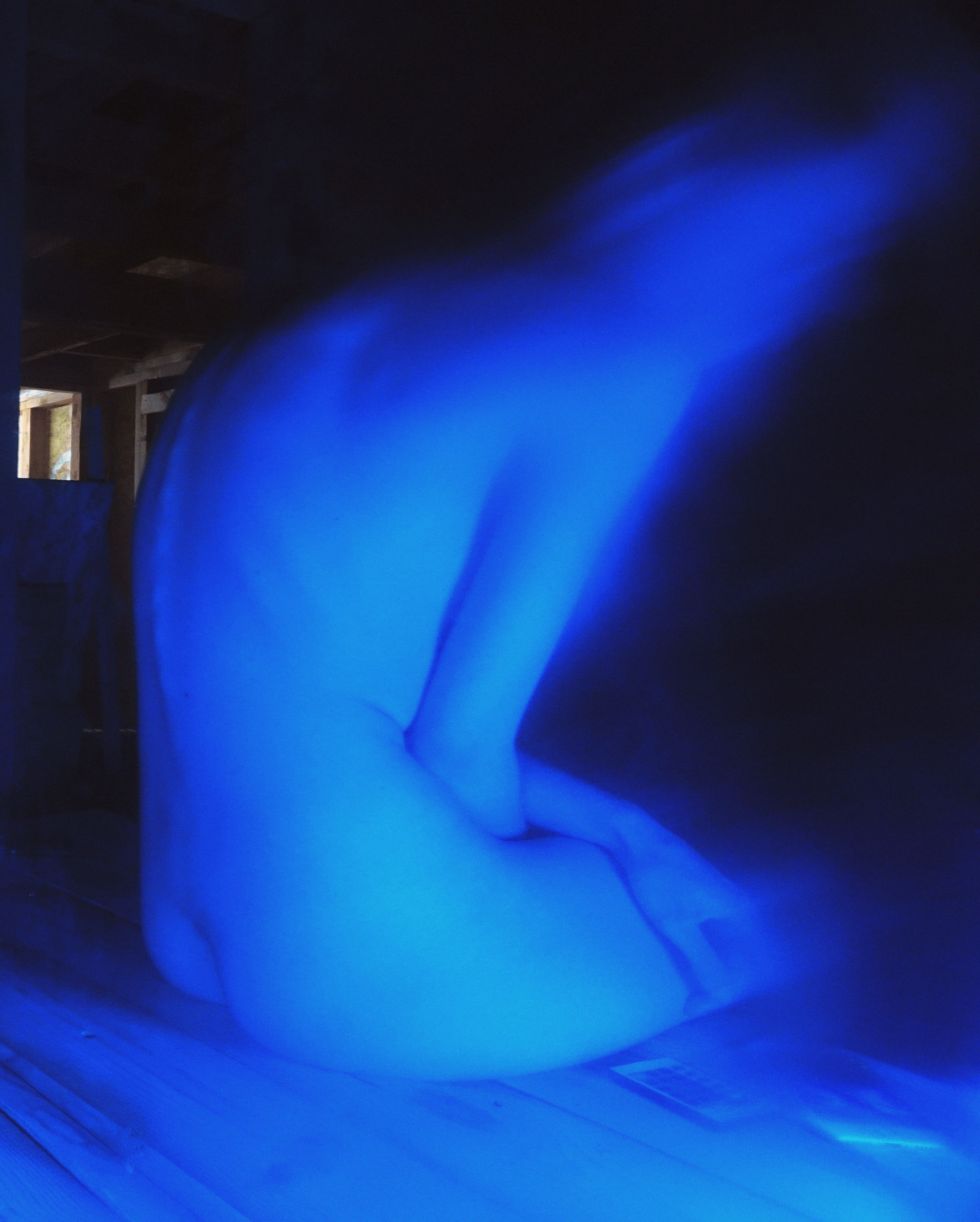 Діана-Федоряка