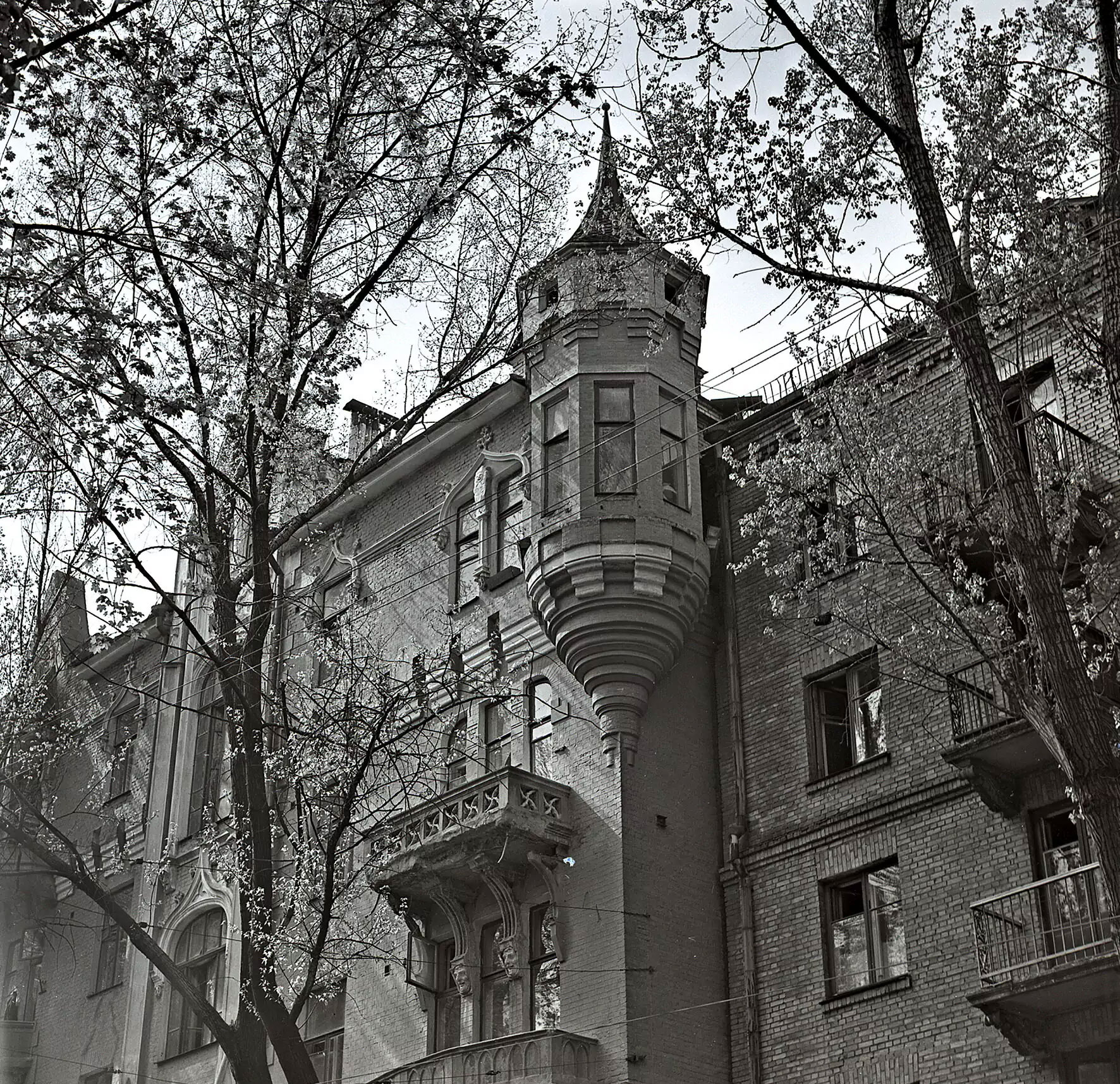 Будинок з котами 