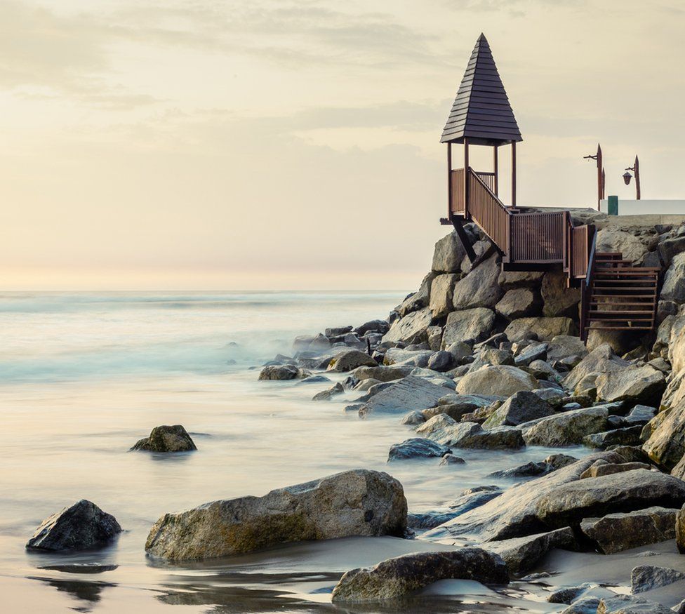 Дэвид Мартин 