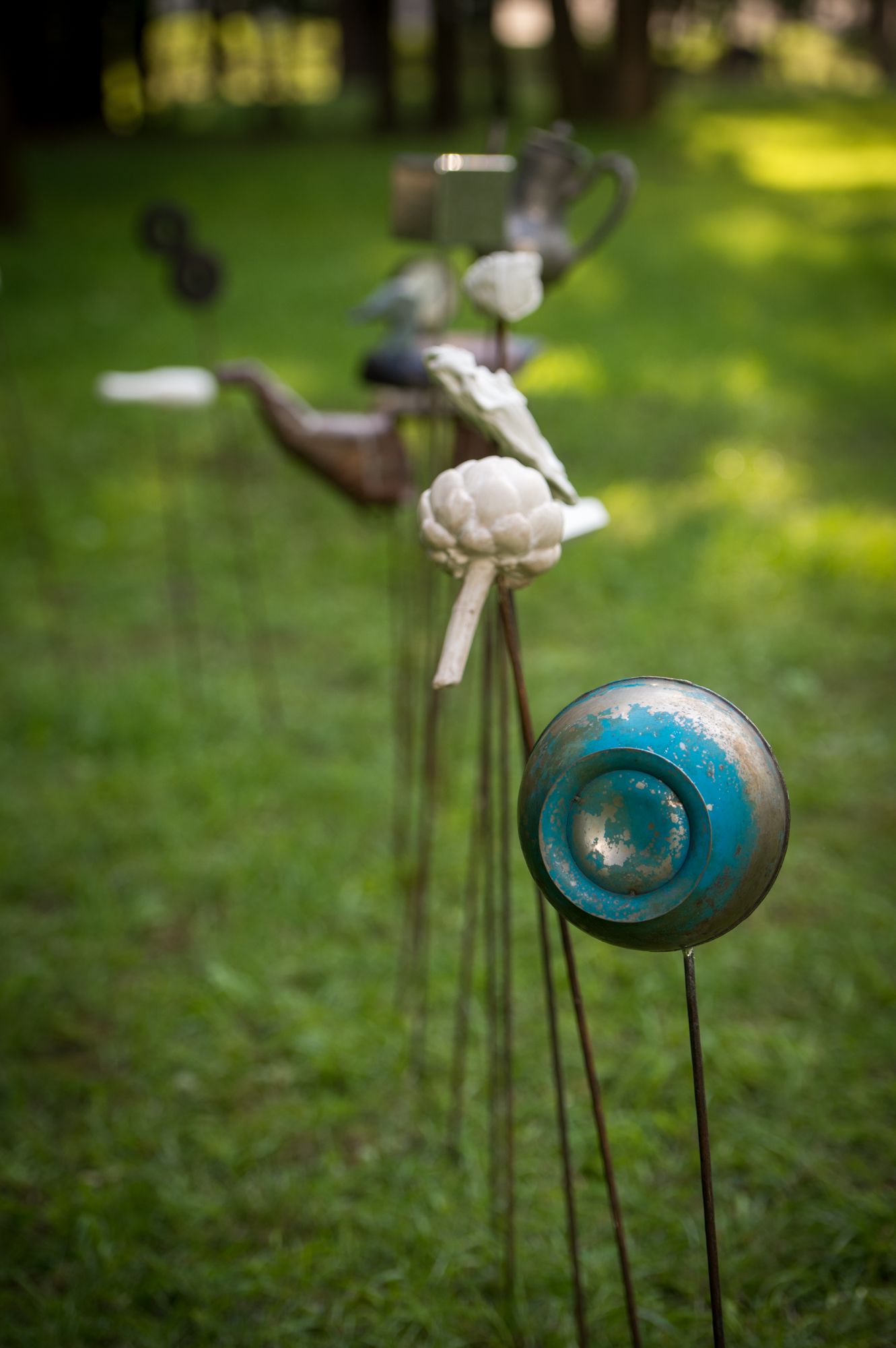 Катерина Бучацкая, «Ни один не больше не»