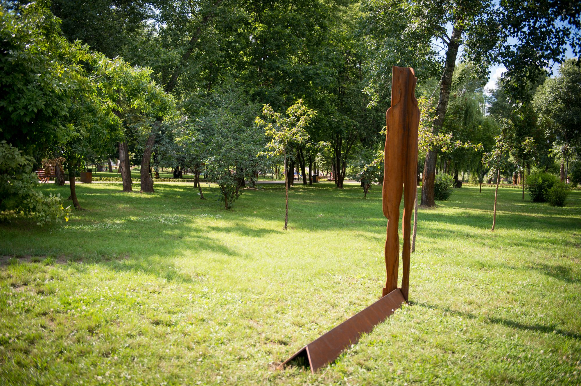 Виталий Протосеня, «Конформист»