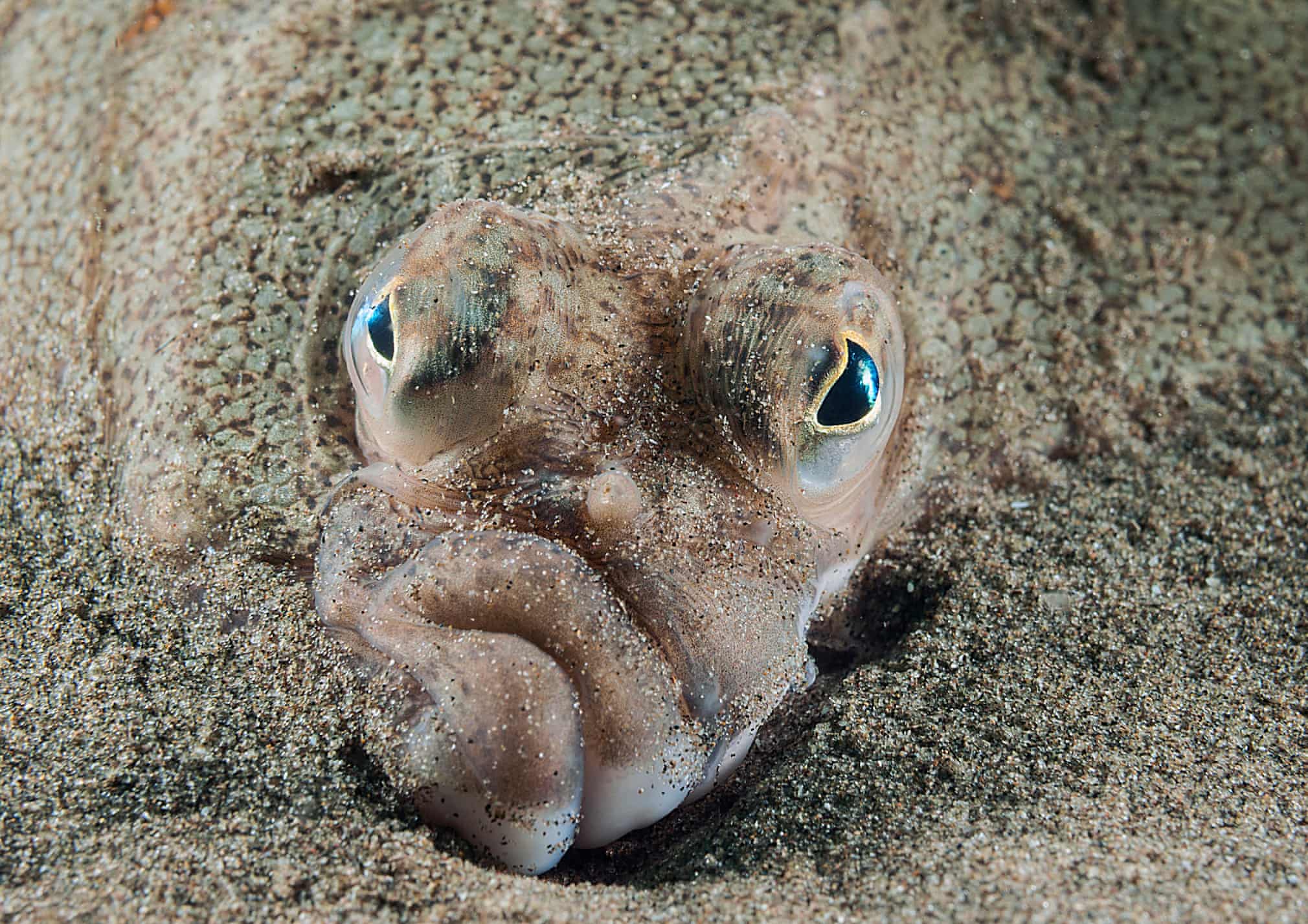 Фото Марк Томас