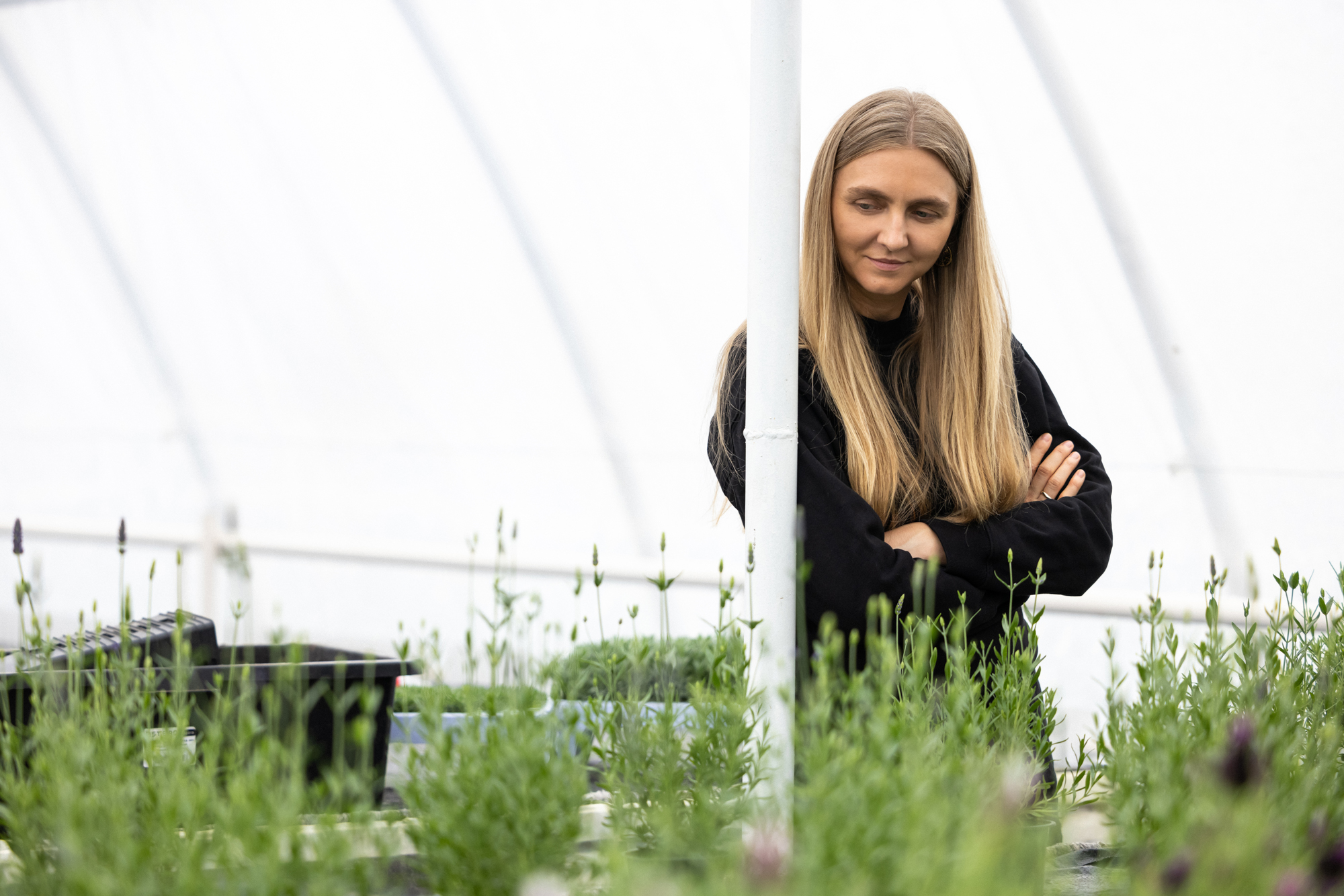 Ксенія Шнайдер