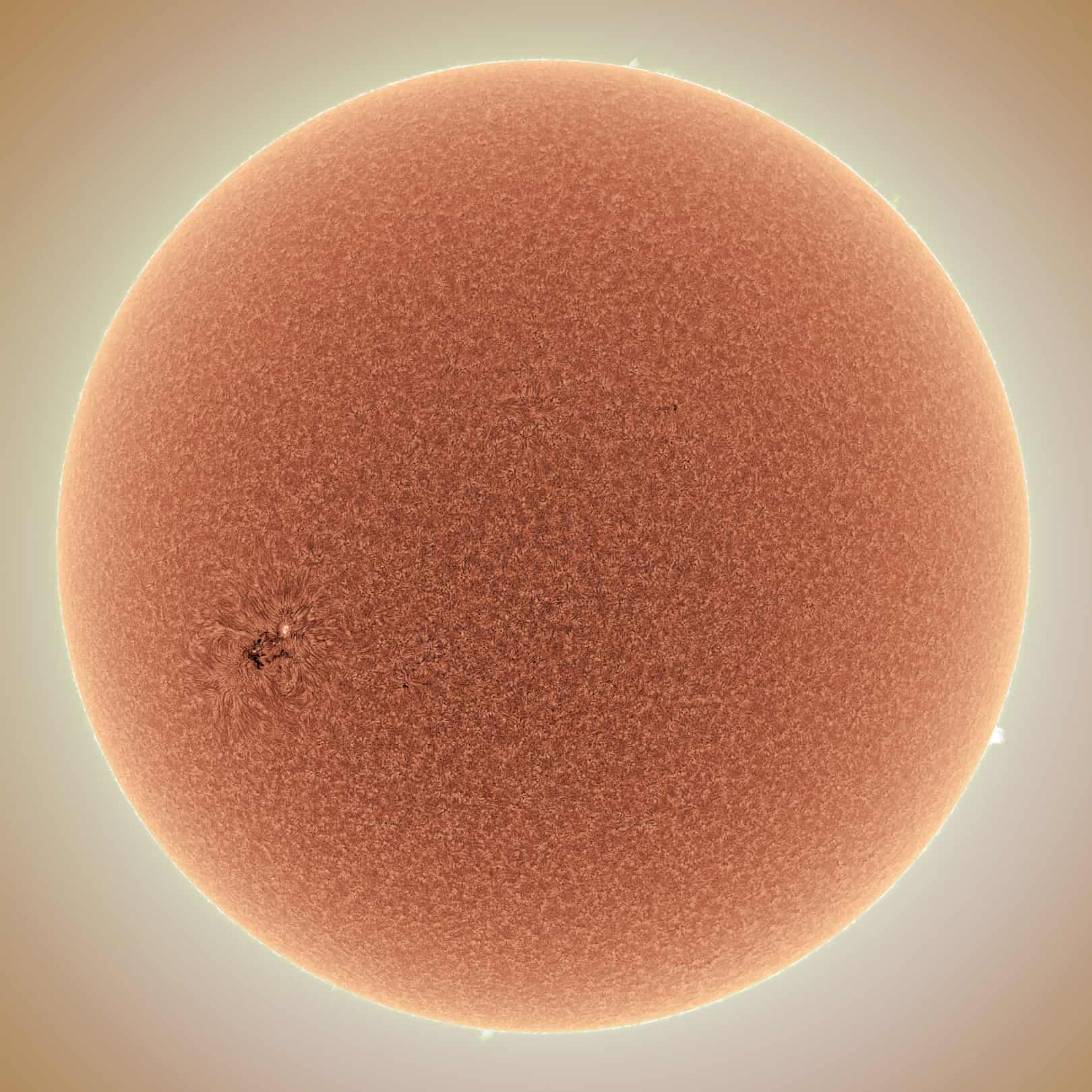 Тихое Весеннее Солнце, Алан Фридман (США)