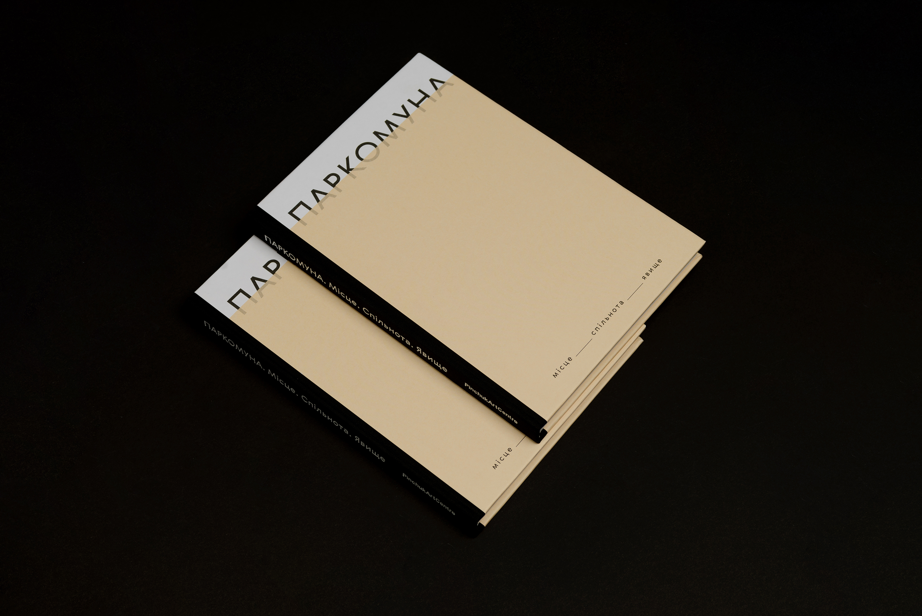 Дизайн книги: Алена Соломадина