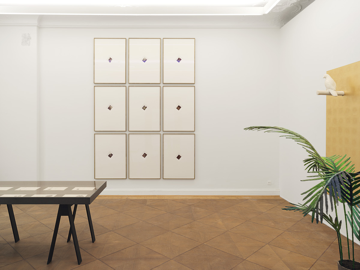 YUTAKA SONE, Tropical Composition