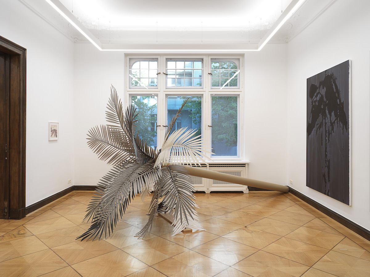 SARAH ORTMEYER, KOKO