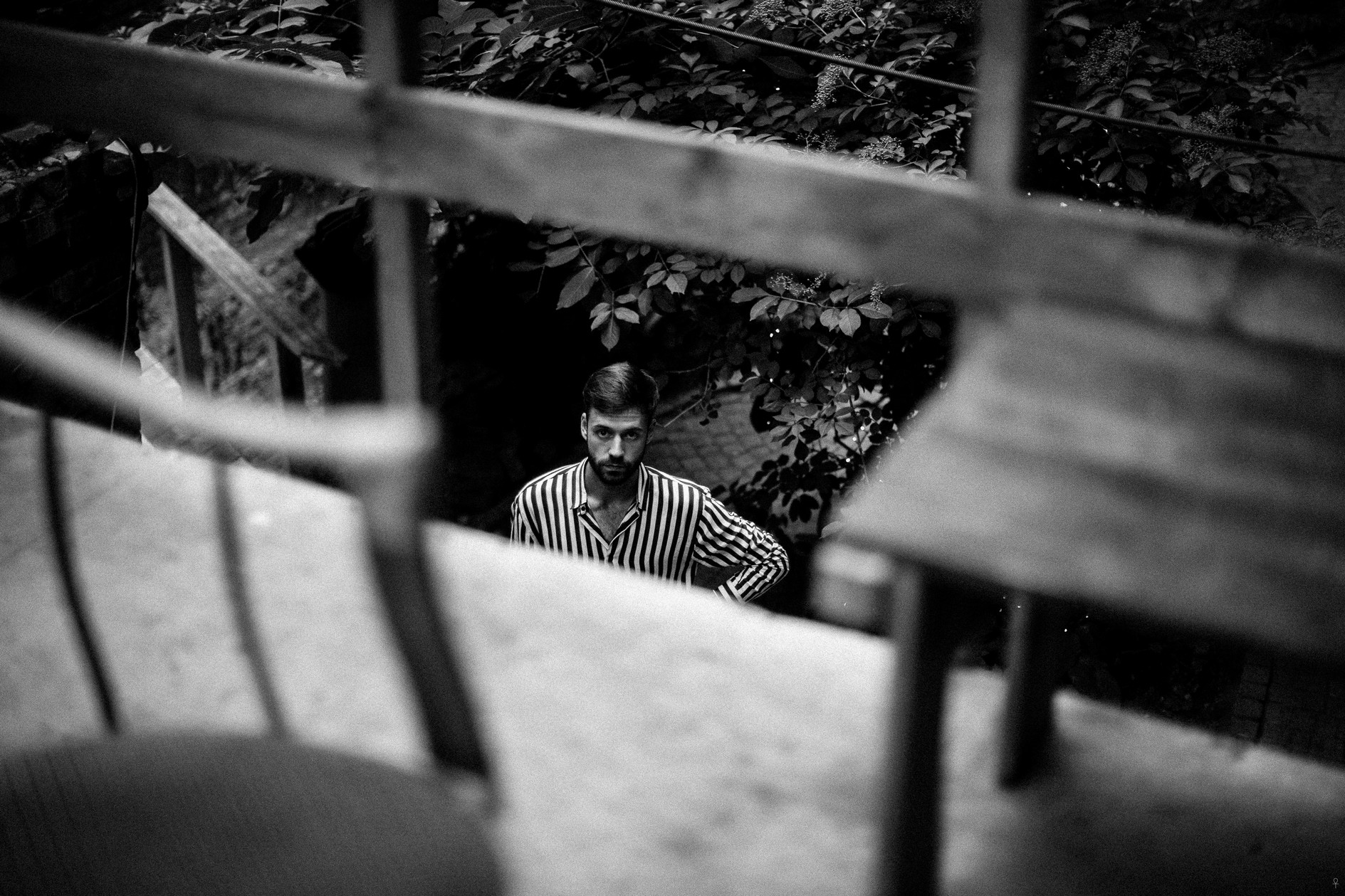 Антон Васильев