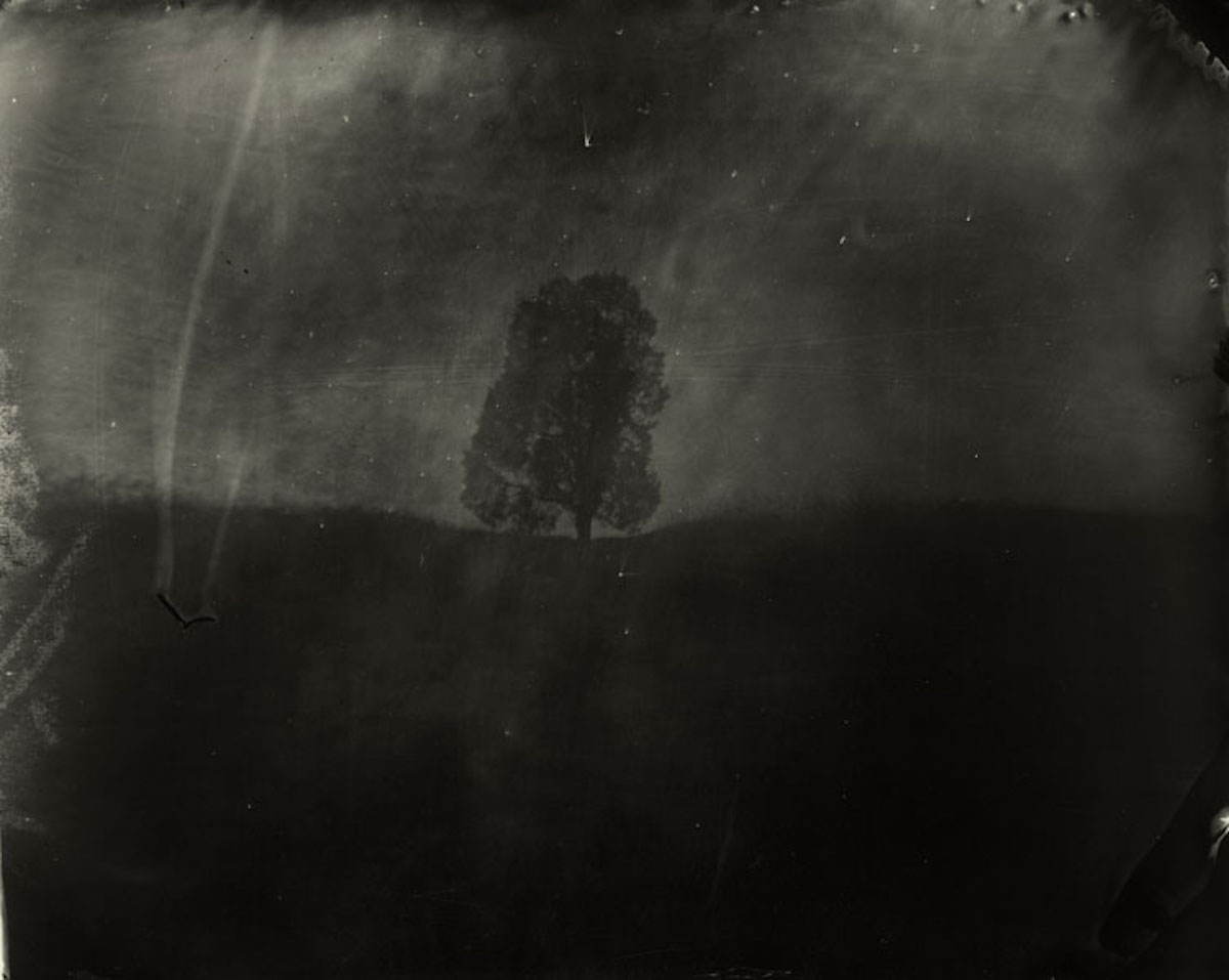 IN THE DEEP SOUTH, 1996