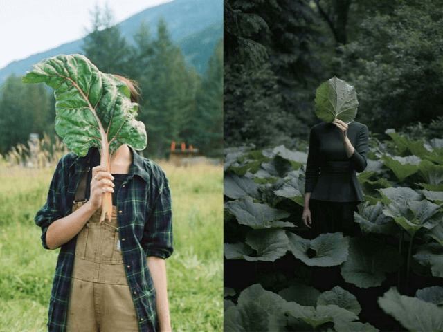 Исследование: Парки и зеленые территории вокруг домов продлевают жизнь горожанам