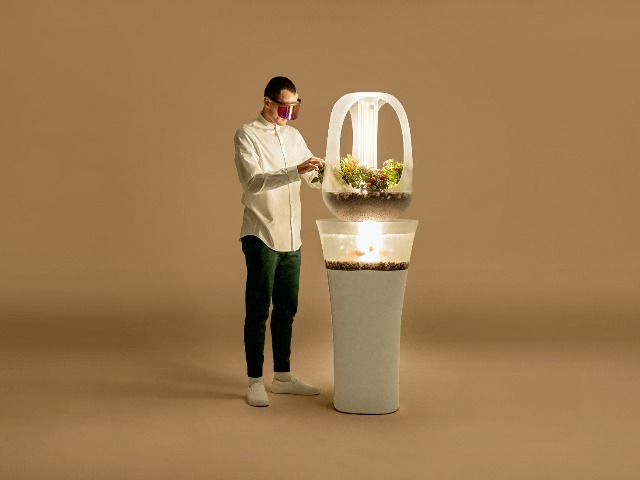 Вещь дня: Экосистема "Ева", которая выращивает дома овощи и зелень с помощью аквариумных рыбок