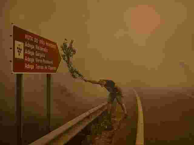 Війни, кліматичні виклики, соціальні трансформації та людські історії: World Press Photo 2025 оголосив кращі фото з Європи