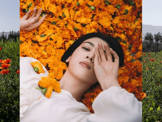 Saint Laurent создали сады в Марокко 