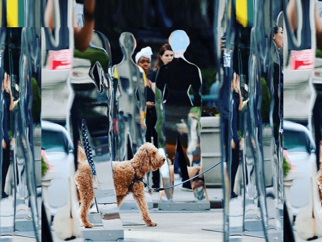 В Нью-Йорке установили 140 женских статуй в честь продолжения сериала “Рассказ служанки”