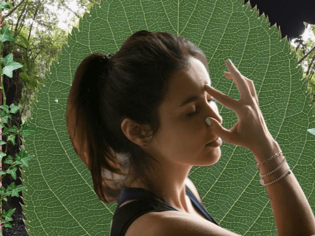 Исследование: Короткая прогулка — самая эффективная борьба со стрессом