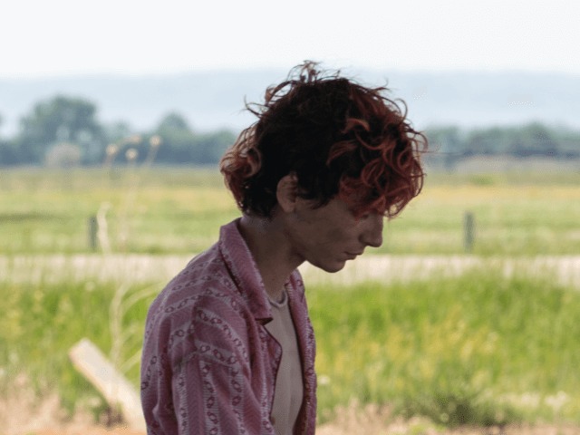 Первый кадр: Тимоти Шаламе в фильме ужасов Луки Гуаданьино о каннибализме и любви