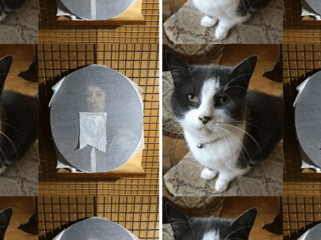 Кошка искусствоведа испортила редкое полотно 17-го века