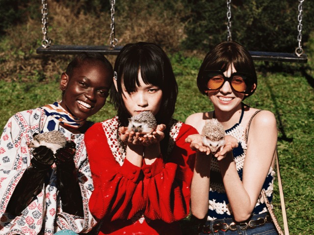 Скунсы, белки, олени, кролики и ежики: Gucci представили новую рекламную кампанию