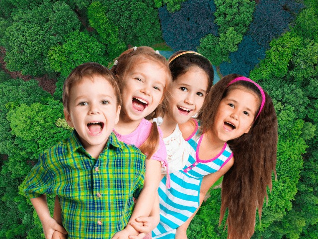 Дерево вместо цветов: В Киеве пройдёт экофлешмоб