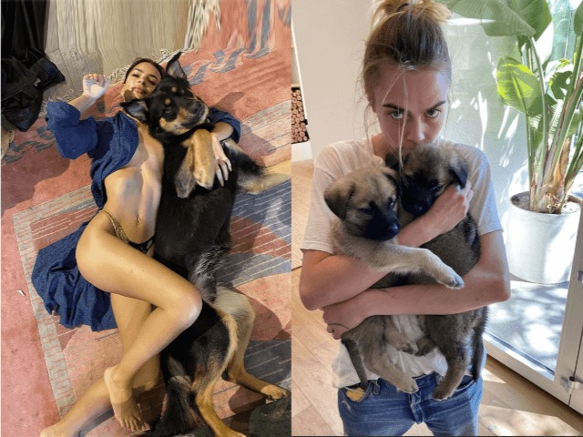 Супермодели на карантине: Чем заняты девушки в отсутствие съемок и шоу