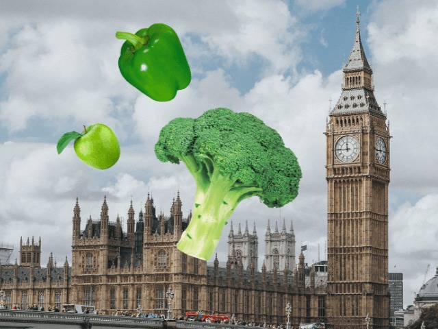 Топ-10 самых популярных стран и городов для веганов в 2020 году