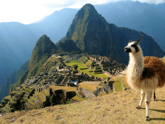 Топ-10 лучших направлений для путешествий в одиночку 