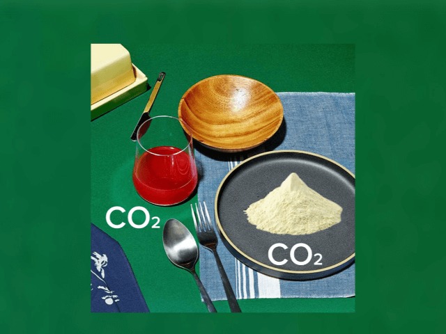 Финская компания создала белок из углекислого газа