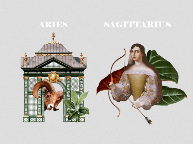 Гороскоп на ноябрь – 2020