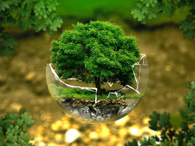 “Україна без сміття” відкриває міні-станцію сортування на маркетах "Всі. Свої"