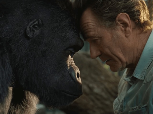 Анджелина Джоли, Сэм Рокуэлл и Дэнни де Вито озвучили фэнтези "Айван, единственный и неповторимый"