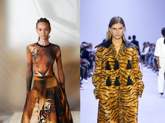 Главный принт 2022 года — тигровый