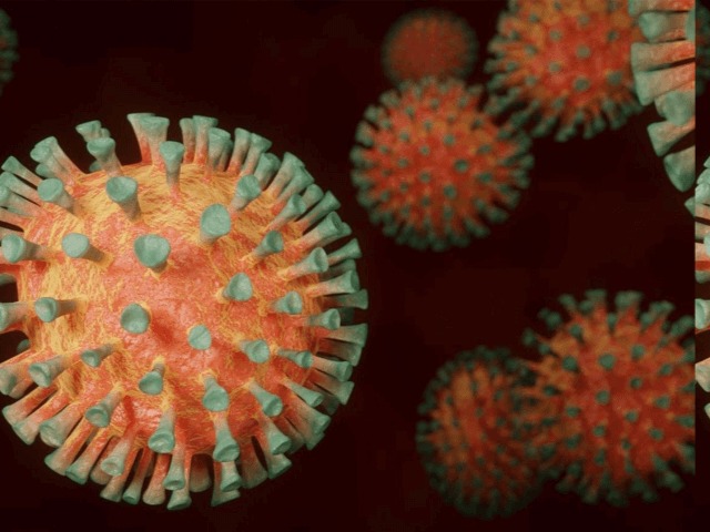 Лекарство найдено: Ученые в США обнаружили антитело для лечения COVID-19