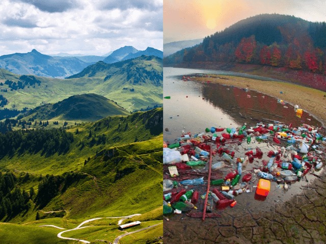 Украинские инженеры запустили приложение для очищения Карпатских гор от мусора 