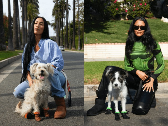 UGG выпустили коллекцию обуви для собак