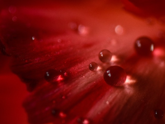 Жіноче здоров'я під час війни: Як допомогти організму в стресі