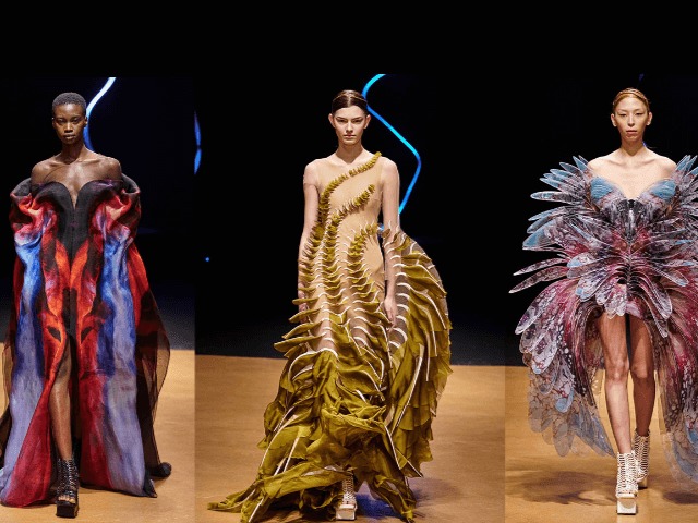 Центральная нервная система человека под микроскопом: Iris van Herpen создали 3D-принты