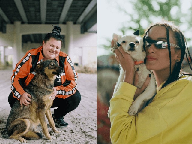 Алина Паш, Alyona Alyona и Стасик призывают украинцев брать животных из приютов