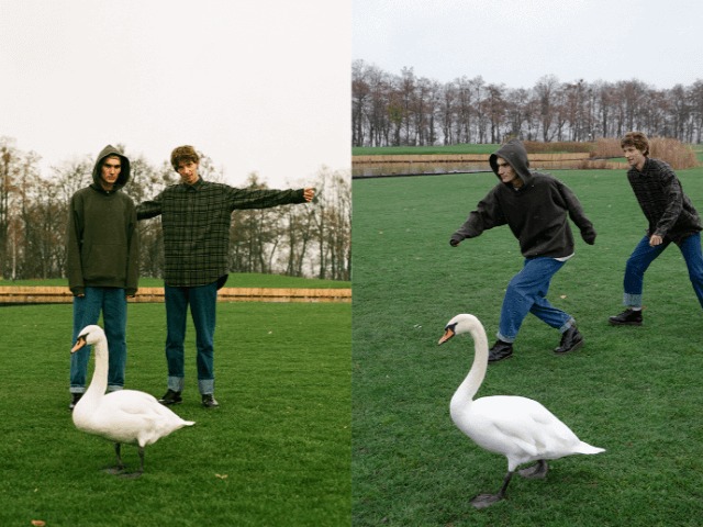 Каштаны и уютные толстовки: Support by Poustovit выпустили зимний дроп