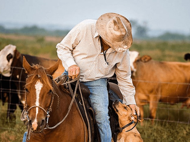 Миллионер ищет друзей, которые проведут каникулы в его поместье стоимостью $ 6,5 миллионов