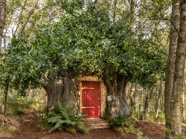 Как в оригинальном мультфильме: Дом Винни-Пуха можно арендовать на Airbnb